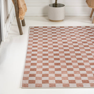 Aimee Traditional Cottage Checkerboard Indoor/Outdoor Area Rug
